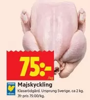 Majskyckling