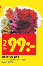 Rosor 10-pack