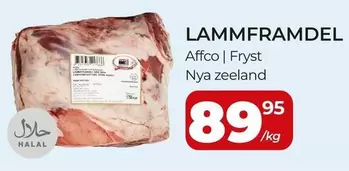 AFFCO - LAMMFRAMDEL