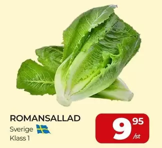 ROMANSALLAD