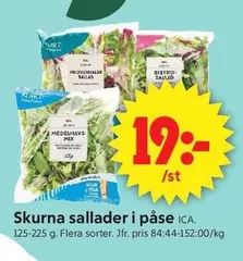 Skurna sallader i påse