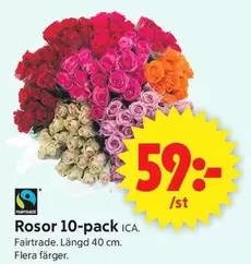 fairtrade - Rosor 10-pack