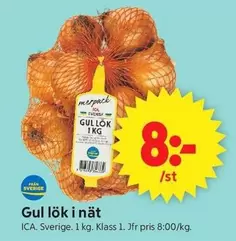 Gul lök