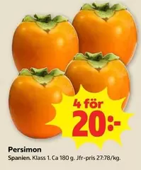 Persimon