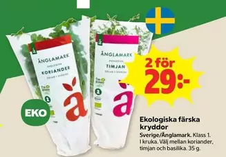 Änglamark - Koriander, Timjan, Basilika