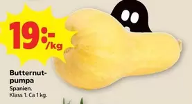 Butternut-pumpa