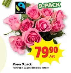 fairtrade - Rosor