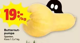 Butternut-pumpa