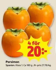 Persimon