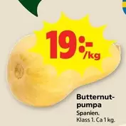 Butternutpumpa