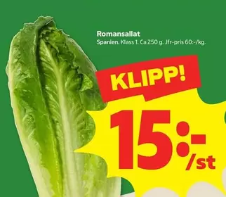 Romansallat