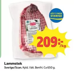 Scan - Lammstek