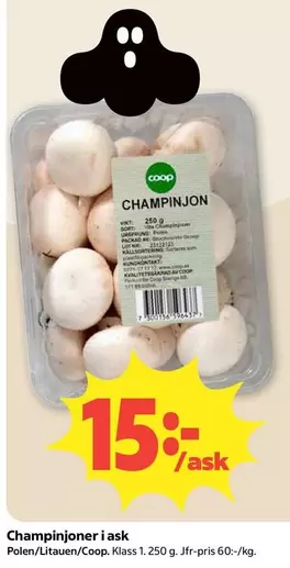 Coop - Champinjoner