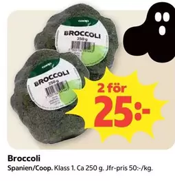 Coop - Broccoli