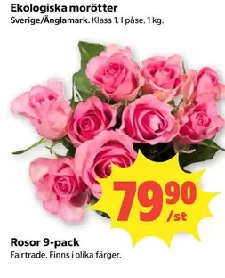 fairtrade - Rosor 9-pack