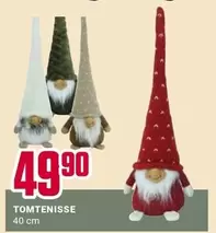 TOMTENISSE