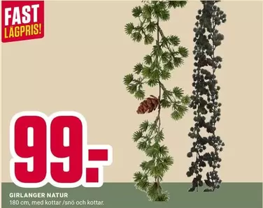 GIRLANGER NATUR