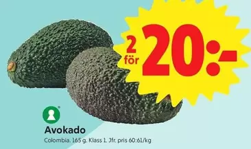 Avokado