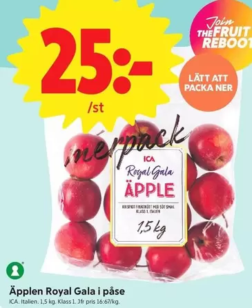 Apple - Äpplen Royal Gala