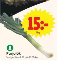 Purjolök