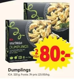 VEGETARISKA DUMPLINGS