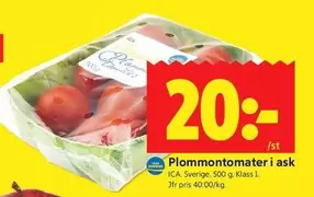 Plommontomater i ask