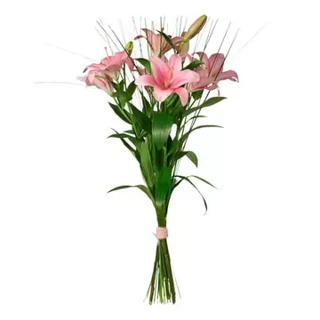 Rosa liljor med gräs