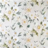 Vaxduk Bloom