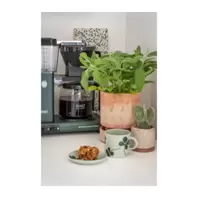 Moccamaster Optio, Forest Green