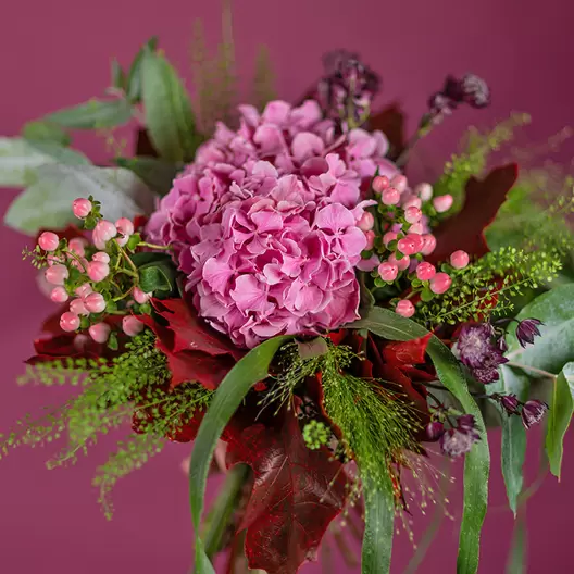 Drömmig Hortensia
