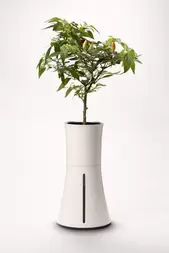 Hydroponisk kruka Botanium