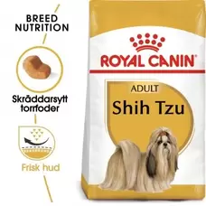 Shih Tzu Adult