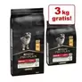 12/14 kg PURINA PRO PLAN + 3 kg på köpet!ny