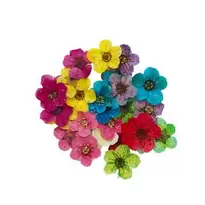 Torkade blommor för att dekorera charms & hängen med UV. Avsedd för artikel 806421