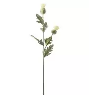 Tistel - Cream - 92 cm   109 kr   Köp