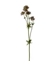 Stjärnflocka - Rosa - 55 cm   109 kr   Köp