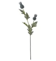 Tistel - Blå - 92 cm   109 kr   Köp
