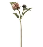 Solros - Rosa - 74 cm   265 kr   Köp