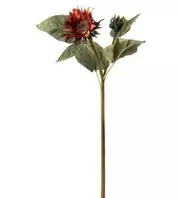 Solros - Orange - 74 cm   265 kr   Köp