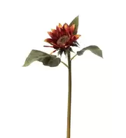 Solros - Orange - 50 cm   169 kr   Köp