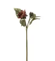 Solros - Lila - 74 cm   265 kr   Köp