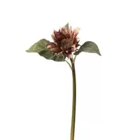 Solros - Lila - 50 cm   169 kr   Köp