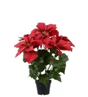 Julstjärna - Röd - 45 cm 309 kr Köp