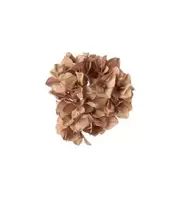 Hortensia med clips - Beige - 10 cm   75 kr   Köp