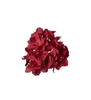 Hortensia med clips - Röd - 10 cm    75 kr   Köp
