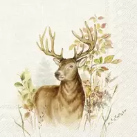 Servetter - Hunted Deer Cream - 20 st/33 x 33 cm   69 kr   Köp
