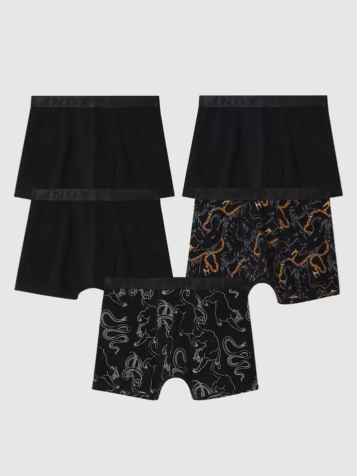 5-pack Power struggle boxer