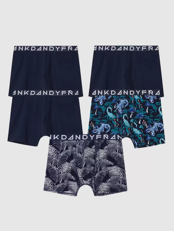 5-pack Have a nice trip boxer