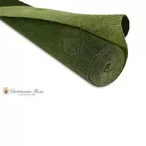 Cartotecnica Rossi kräppapper 562/1 – tonad bladgrön, 180 g rulle (144 g/m²) à 50×250 cm