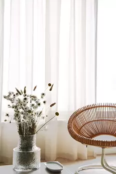 Gardin Olivia dubbel bredd Natur Höjd 250 cm